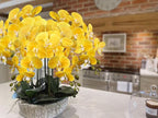 4 Pcs Artificial Orchid Flowers 9 Large Heads of Real Touch Vivid Phalaenopsis Orchid Flower Stem 31.5'' Tall, Artificial Flowers Branches for Home Decor, Office House Decor-Yellow Phalaenopsis