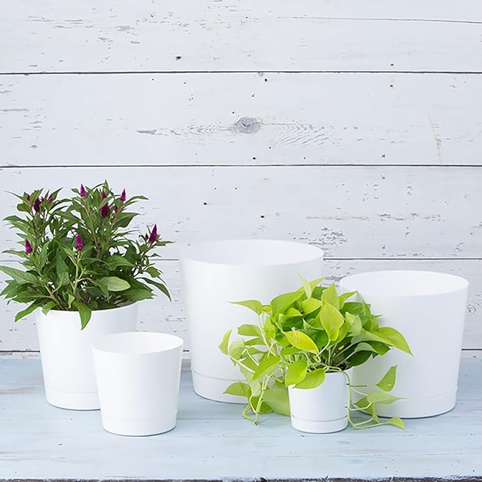 Novelty Majestic Full Depth Cylinder Pot, Glossy White, 10-Inch (10102)