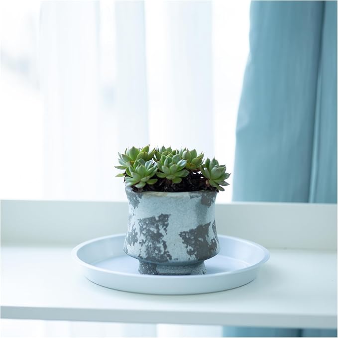 6pcs White Plastic Plant Saucers (8 inch) - Heavy Duty Indoor Plant Trays for Pots with Water Drainage, Drip Catcher & Decor (Set of 6 Round Saucers)