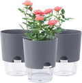 Oliz 6.3 Inch Self Watering Planter Pots for Indoor Plants, 3 Packs African Violet Pots with Wick Rope and Visible Reservoir Self Watering Planter for Herb, Houseplants