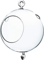 WGV Hanging Terrarium Globe, Width 5", Height 7", Double Hook, DIY Air Succulent Planter, Clear Glass Vase Orb, Candle Holder for Windowsill Outdoor Garden Decor, 1 Piece