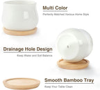 SHECIPIN 2 Pack Succulent Pots, 2.5 Inch Mini Ceramic Pots for Flower or Cactus Plants with Drainage Hole,Plants Not Included (White)