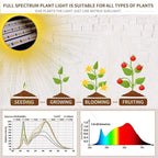 bseah Grow Light Plant Light Indoor Plants, Full Spectrum Clip Plant Lamp, 10-Level Dimmable, Auto ON & Off Timer (2 Pack)