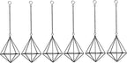 ZOOELAY Air Plants Hanging Holders Indoor Small Metal Airplants Rack Hanger Himmeli Geometric Planter Tillandsia Air Ferns Display with Chains 6 Pcs Black Diamond Shape …