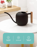Baffect Watering Can Indoor Plants, 1.2L/41OZ Cute Watering Can Pot, Metal Stainless Steel Garden Water Can with Long Spout for Indoor House Plants Bonsai Outdoor Garden Flower Decorative