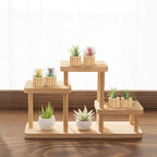 Belit 6 Pcs Air Plant Holder, Small Wooden Air Plants Live Holders for Home Decor (NO Plant Included)