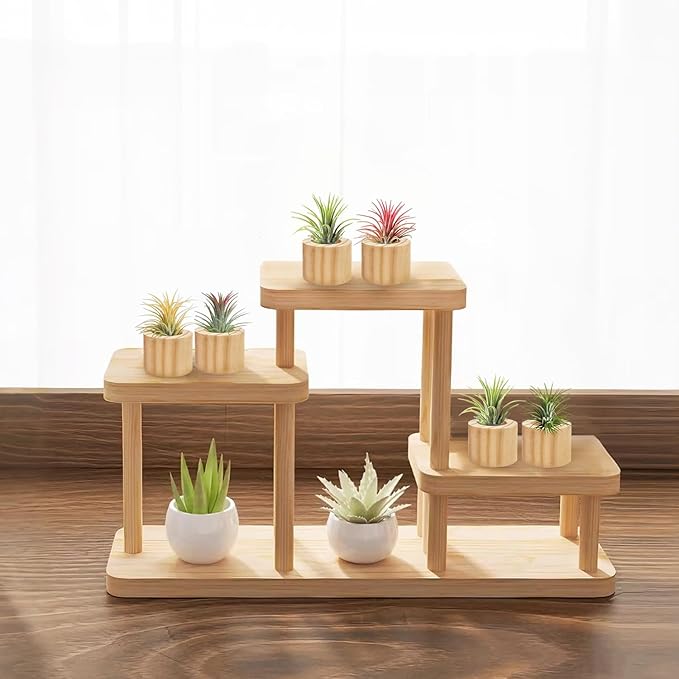 Belit 6 Pcs Air Plant Holder, Small Wooden Air Plants Live Holders for Home Decor (NO Plant Included)