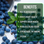 Blueberry Plant Jewel Live for Sale (4 Pack) | Easy to Grow Plants | Edible Fruit Plant for Sustainable Living | Grow Your own Food on Your Edible Organic Garden| Live for Planting| No Seeds
