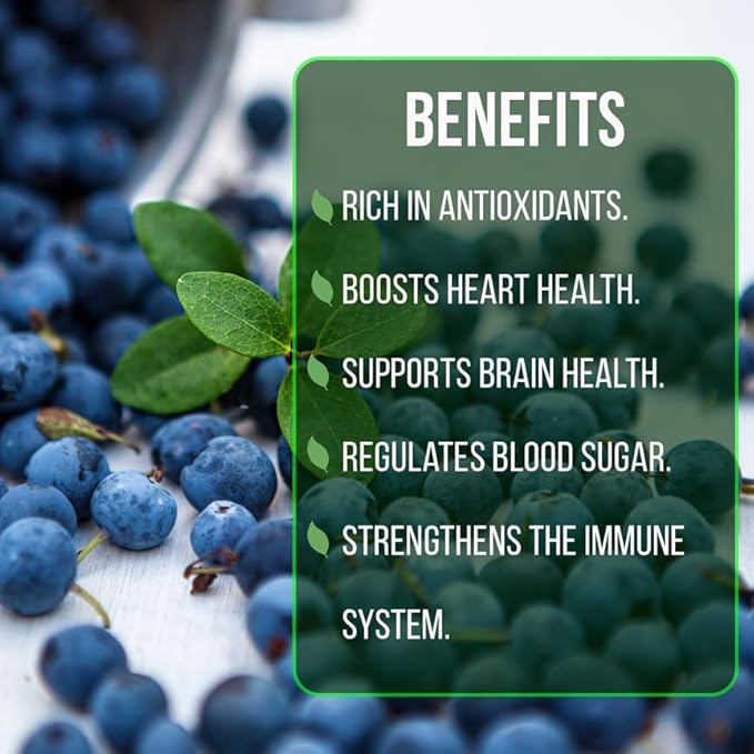 Blueberry Plant Jewel Live for Sale (4 Pack) | Easy to Grow Plants | Edible Fruit Plant for Sustainable Living | Grow Your own Food on Your Edible Organic Garden| Live for Planting| No Seeds