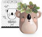Koala Animal Ceramic Planter for Indoor and Outdoors, 3 x 3 x 4 in., Cute Hand Painted Designed in Argentina, Convenient Drain Hole