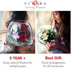 Fiora Flower | Long Lasting Real Roses in a Sealed Vase | Lasts up to 5 Years | Unique Present Gift