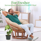American Plant Exchange Monstera Deliciosa - Live 6-Inch Pot, Easy-Care Split Leaf Vine, Low-Maintenance Air Purifying Houseplant for Home, Office & Garden Décor