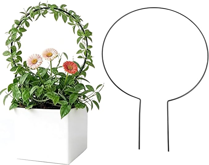 2Pcs Round Plant Trellis, Acrylic Small Trellis Climbing Plants Indoor Outdoor, Plant Support for Hoya Pothos Vine Ivy Monstera Flower Philodendrons Dischidia