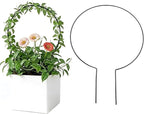 2Pcs Round Plant Trellis, Acrylic Small Trellis Climbing Plants Indoor Outdoor, Plant Support for Hoya Pothos Vine Ivy Monstera Flower Philodendrons Dischidia