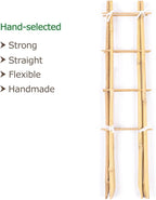 Cambaverd 24 Inch Trellis for Potted Plants, 3 Pack Bamboo Trellis Indoor, Natural Garden Trellis for Climbing Plant Monstera Hoya Vegetables and Fruits