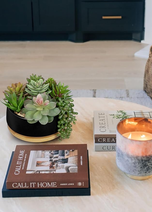 Artificial Succulent Plants in Pot 5.5 Inch Fake Succulents Arrangement Potted Plant in Black Ceramic Planter Bowl with Wood Saucer for Home Office Desk Shelf Living Room Bedroom Bathroom Decor