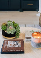 Artificial Succulent Plants in Pot 5.5 Inch Fake Succulents Arrangement Potted Plant in Black Ceramic Planter Bowl with Wood Saucer for Home Office Desk Shelf Living Room Bedroom Bathroom Decor