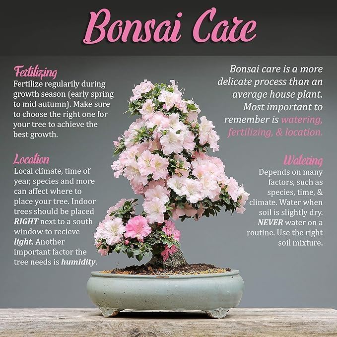 BambooMN Bonsai 3 Piece Trunk and Root Set - 30 Sets