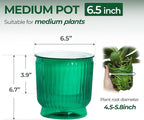 T4U 6 Inch Self Watering Pots for Indoor Plants, 4 Pack Self Watering Planter, Self Watering Pot with Reservoir, Small Self Watering Pots for Plants, African Violets (4 Pack, 6", Translucent Green)