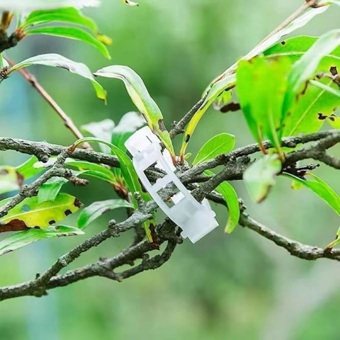 100PCS Secured Plastic Plant Clip, Upgrade Grape and Tomato Vine, Garden Clips for Climbing Plants, Plastic Trellis Clips Plant Support Clips Tomato Grape Vine Vegetables Plant Fixing Clips