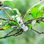100PCS Secured Plastic Plant Clip, Upgrade Grape and Tomato Vine, Garden Clips for Climbing Plants, Plastic Trellis Clips Plant Support Clips Tomato Grape Vine Vegetables Plant Fixing Clips