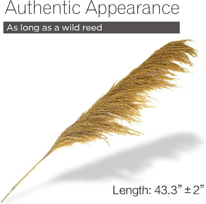 Golden Pampas Grass Decor Tall,Long Dried Pampas Grass for Floor Vase, Natural Pompas Floral, Elegant Feather Flowers for Wedding Living Room Decorations (Natural Gold, 6pcs 43.3"(110cm))