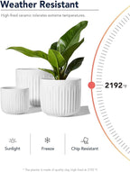 LE TAUCI Fluted Ceramic Planters, 8.3/7/6 Inch Indoor Pots for Plants with Drainage Holes & Mesh, Modern Matte Glaze Cylinder Plant Pot for Snake Plant, Set of 3, White