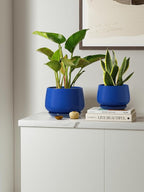 LE TAUCI Plant Pots, 4.1+5.1+6.5 inch, Set of 3, Ceramic Planters with Drainage Hole and Saucer, Indoor Flower Pot with Hole Mesh Pad, Gifts for Mom, Sapphire Blue