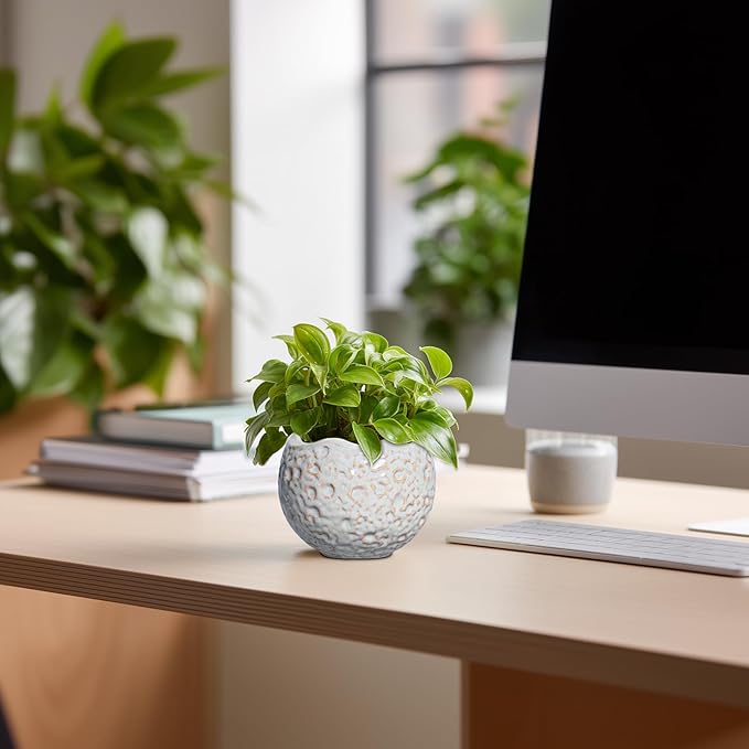 4 Inch Plant Pots - Ceramic Flower Pot for Indoor Outdoor Plants, Small Plant Pot with Drainage Hole and Plug, Round Planter, Unique Plant Pots, Home Decor, Gardening Gifts for Women, Grey