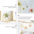 Homoyoyo 5 Pack Geometric Air Plant Holder - Gold Metal Himmeli Stand for Tillandsia, Minimalist Airplant Display Rack for Home Office Desktop, Modern Indoor Plant Decoration (2.6 x 2.6 inch)
