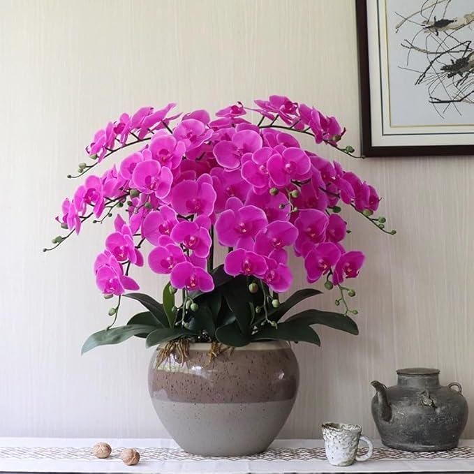 Htmeing 38 Inch Artificial Phalaenopsis Flowers Branches Real Touch (Not Silk) Orchids Flowers for Home Office Wedding Decoration,Pack of 2 (Rose red)