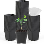 June Fox Square Nursery Pots 3.3 Inches Flexible Plastic Seedling Pots Square Pots for Plants, Succulent, Flower, Pack of 100, with 100 PCS Plant Labels