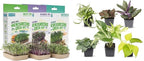 Back to the Roots DIY Microgreen Grow Kit, 6-Grow Variety Pack & Easy to Grow Houseplants (6 Pack), Live House Plants in Plant Containers, Growers Choice Plant Set in Planters