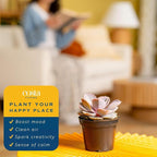 Costa Farms Echeveria Succulents Fully Rooted Live Indoor Plant 6-Inches Tall, in Grower Pot, 3-Pack