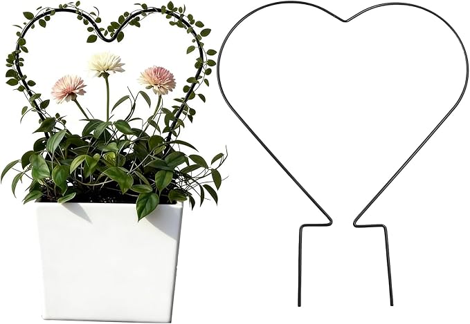 2Pcs Heart Plant Trellis, Acrylic Small Trellis Climbing Plants Indoor Outdoor, Plant Support for Hoya Pothos Vine Ivy Monstera Flower Philodendrons Dischidia