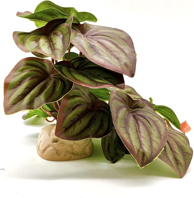 Reptile Plants for Terrarium Decor,Amphibian Habitat Decor,Artificial Plants for Gecko Chameleon Snake Tortoise Tank Accessories with Base (red Watermelon peperomia)
