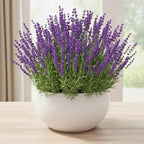 4 Lavender Plants Live Starter Plants 4-6" in Tall, Hardy Perennial Lavender for Garden and Landscape with Fragrant Purple Blooms, No Pot (Blue)