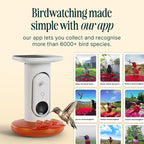 Birdbuddy Smart Solar Pro Hummingbird Feeder with Camera - AI Bird Identification, 2K Video, 5MP Photos, Outdoor Hanging, Gift for Bird Watching