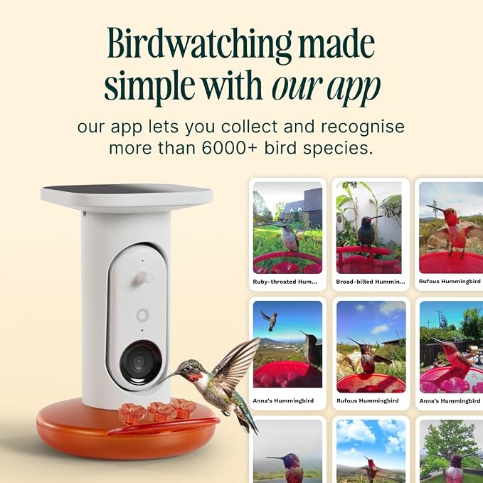 Birdbuddy Smart Solar Pro Hummingbird Feeder with Camera - AI Bird Identification, 2K Video, 5MP Photos, Outdoor Hanging, Gift for Bird Watching