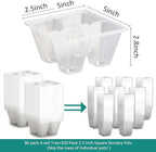 RooTrimmer 80 Pack Reusable 4-Cell Clear Seed Starter Trays - Extra Large Drainage Holes, Easy Transplant, Clear Transparent Tray for Root Observation, Seed Starting, Fits Standard 1020 Flats