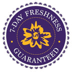 KaBloom - Bouquet of 12 Fresh Purple Roses (Farm-Fresh, Long-Stem) - Fresh Flowers for Birthday, Valentine's & Mother's Day