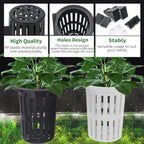 Upgraded Large Aquarium Plant Holder with Extension Hooks and Suction Cups, Aquatic Plants Cup for Tank for Fish Tank Aquaponic Plant Cultivation and Aquascape Accessories (Black-2PC)