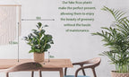 12.6" Fake Plants in Brown Ceramic Vase Real Looking and Touching Evergreen Ficus Leaf Faux Plant indoor for Book Shelf Bathroom Office Desk Kitchen Counter Bedroom Small Space Artificial Plant Decor