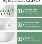 Set of 2 Orchid Pot, 5+6 Inch Orchid Pots with Holes, Orchid Pots for Repotting, Ceramic Flower Pots with Drainage and Tray, Planters for Indoor/Outdoor Plants - White