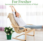 American Plant Exchange Gardenia Bush ‘Mini Veitchii’ – Live 6-Inch Indoor Flowering Plant, Fragrant Houseplant for Home or Office, for Mother's Day & Year-Round Décor