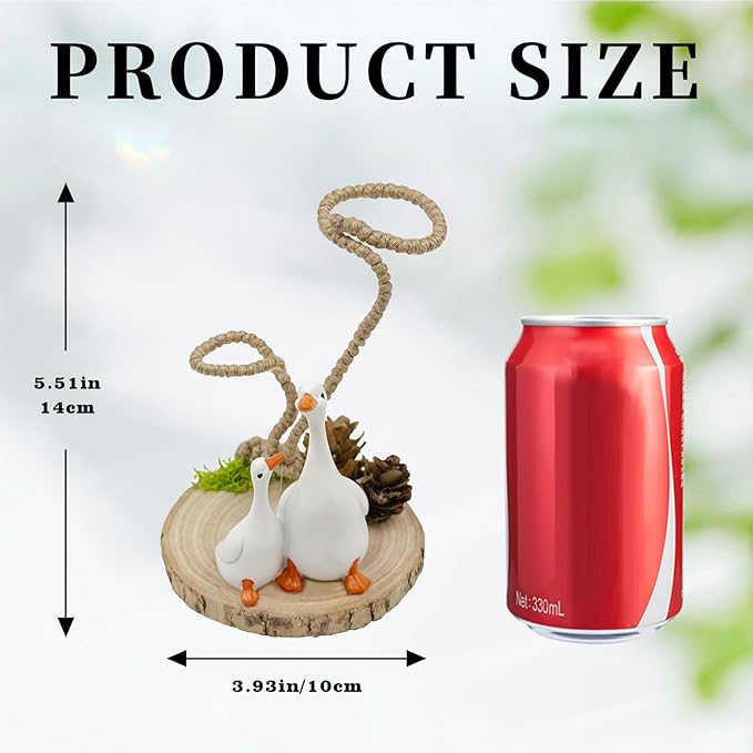 Air Plant Holders, Unique Air Plant Holders with Charming Decor, Home Decor for Living Room, Bedroom, Office, Table, Bookshelf, Gift, Office Decoration Supplies