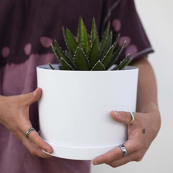 Bloem Mathers 6" White Round Modern Resin Garden Planter Pot with Drainage Holes and Removable Saucer Tray Included