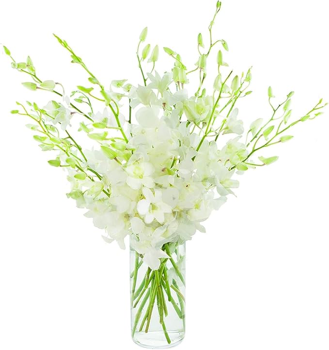 eflowerwholesale - Premium Cut White Orchids (20 stems with Vase) (Support Small Business)