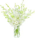 eflowerwholesale - Premium Cut Dendrobium Orchids (White, 30 Stems with Vase) (Support Small Business)