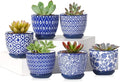 Selamica Ceramic 2.4 Inch Succulent Pots, Mini Succulent Planter Pot for Cactus Plant with Drainage Holes & Saucers, Home Decor, Set of 6, Vintage Blue